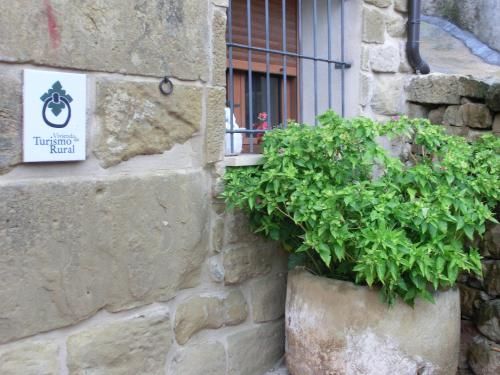 Outdoor Pictures 6