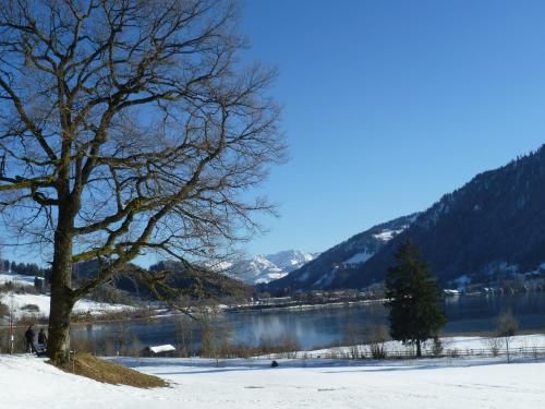 Haus Bergpanorama