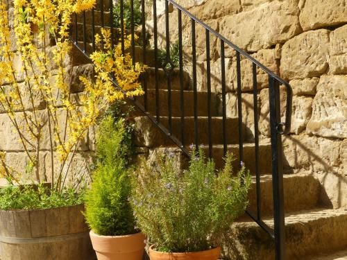 Outdoor Pictures 5