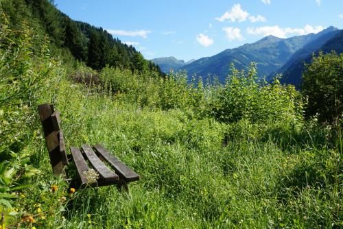 Outdoor Pictures 16