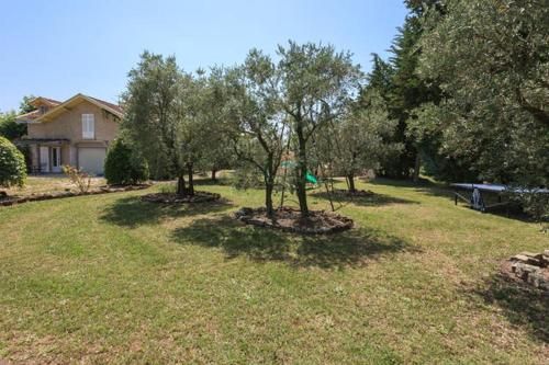 Outdoor Pictures 11