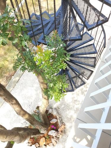 Outdoor Pictures 3