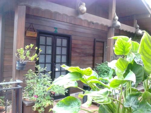 Outdoor Pictures 12