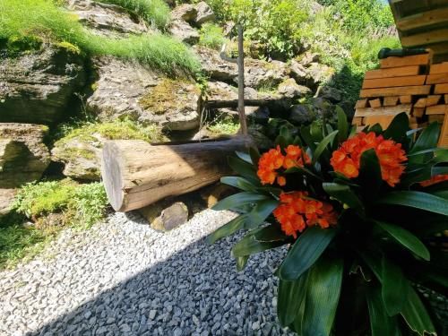 Outdoor Pictures 14