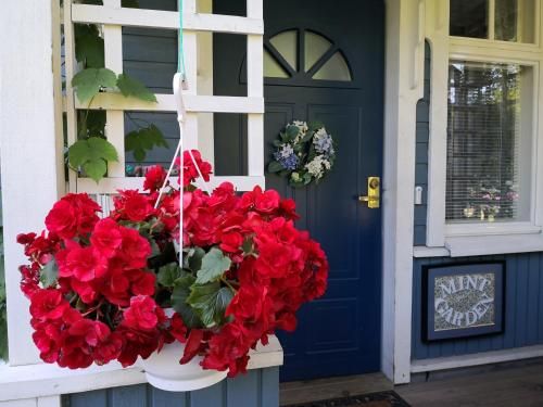 Outdoor Pictures 20