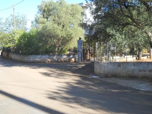 Outdoor Pictures 15