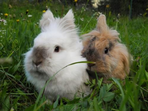Outdoor Pictures 9