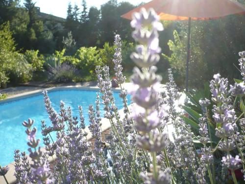 Outdoor Pictures 7
