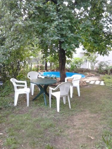 Outdoor Pictures 5