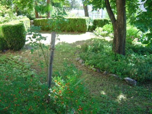 Outdoor Pictures 16