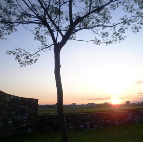 Outdoor Pictures 2