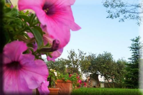 Outdoor Pictures 24