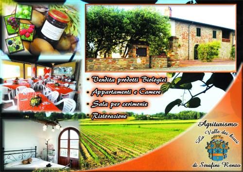 Outdoor Pictures 15