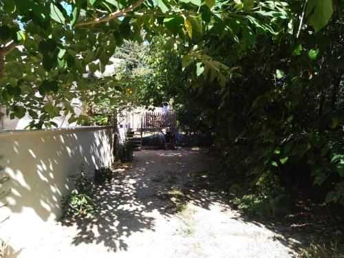 Outdoor Pictures 11