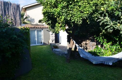 Outdoor Pictures 10