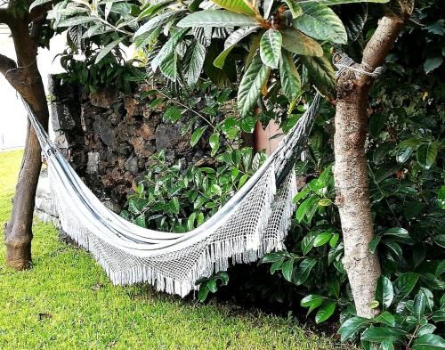 Outdoor Pictures 3
