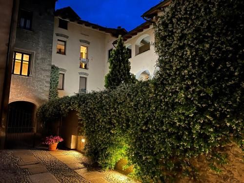 Outdoor Pictures 9