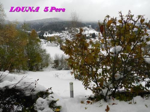 Outdoor Pictures 2