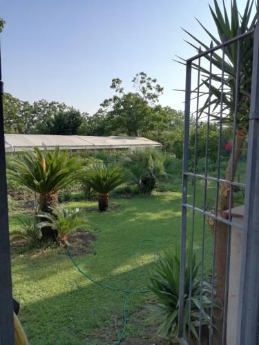 Outdoor Pictures 1