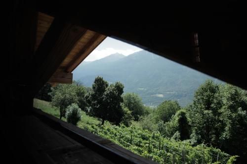 Outdoor Pictures 22