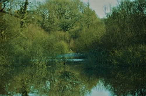 Outdoor Pictures 14