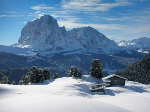 Outdoor Pictures 20