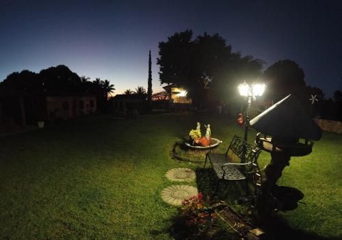 Outdoor Pictures 21