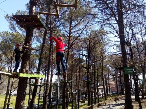 Outdoor Pictures 19