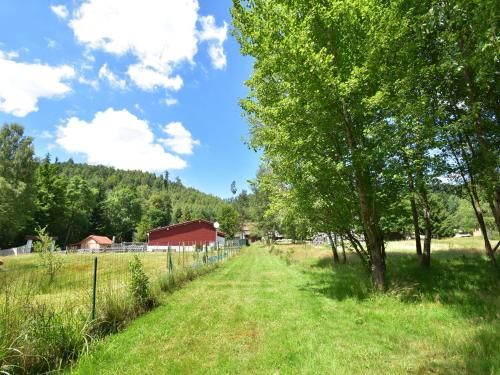 Outdoor Pictures 19
