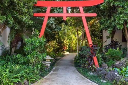 Outdoor Pictures 9