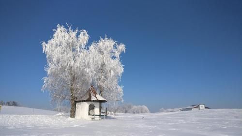 Outdoor Pictures 22