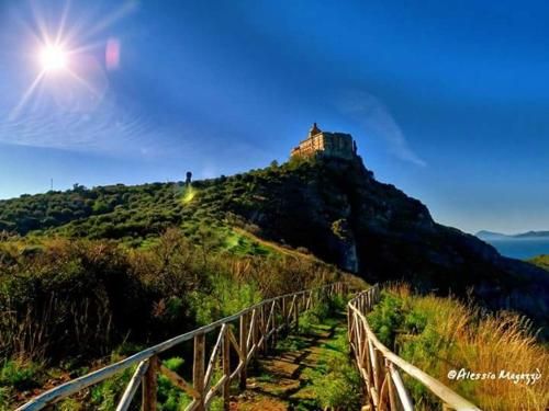 Outdoor Pictures 24