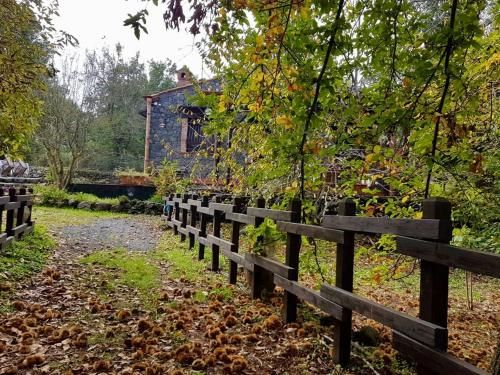Outdoor Pictures 23