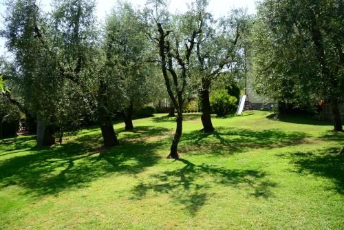 Outdoor Pictures 22