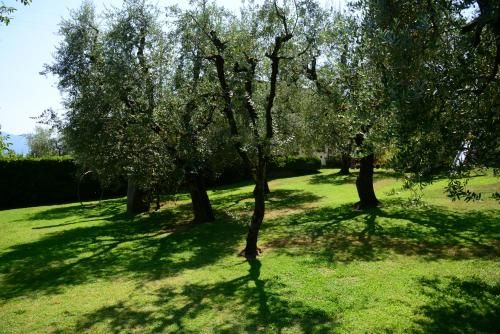 Outdoor Pictures 23