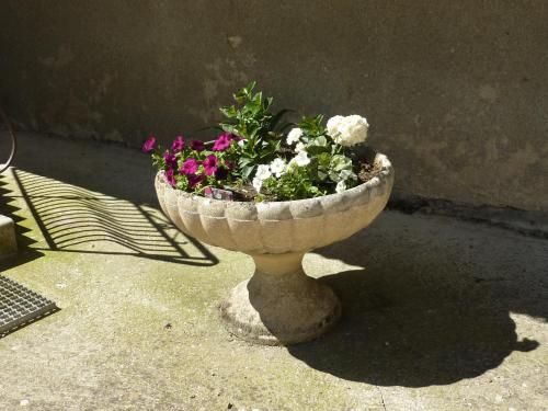 Outdoor Pictures 11