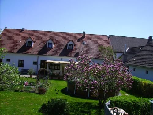 Outdoor Pictures 1