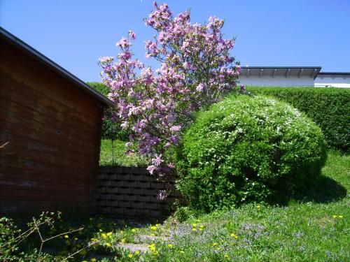 Outdoor Pictures 5