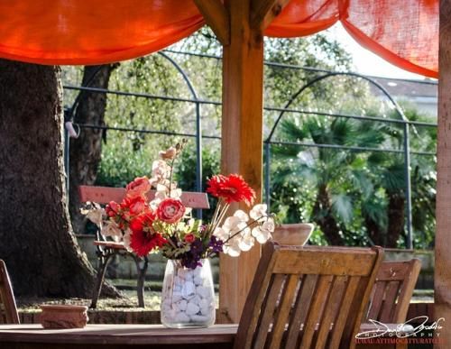 Outdoor Pictures 20