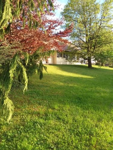 Outdoor Pictures 13