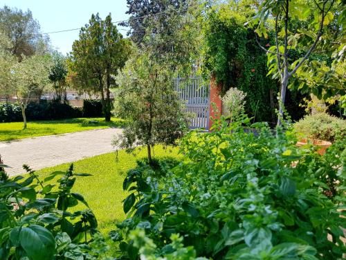 Outdoor Pictures 18
