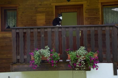 Outdoor Pictures 16