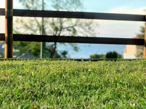 Outdoor Pictures 7