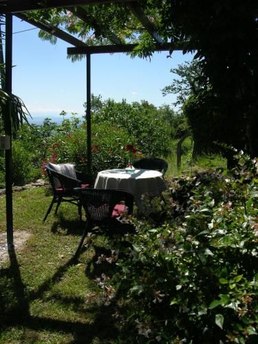 Outdoor Pictures 8