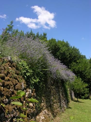 Outdoor Pictures 11