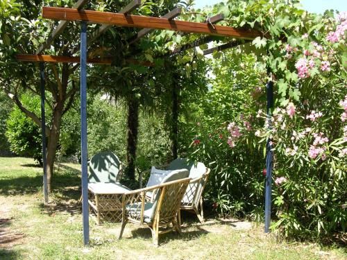Outdoor Pictures 15