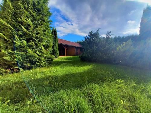 Outdoor Pictures 15