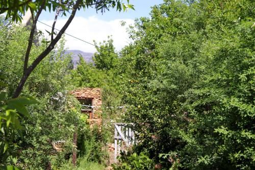 Outdoor Pictures 16