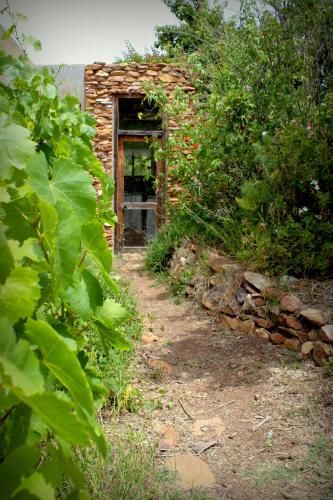 Outdoor Pictures 23