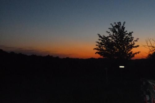 Outdoor Pictures 19